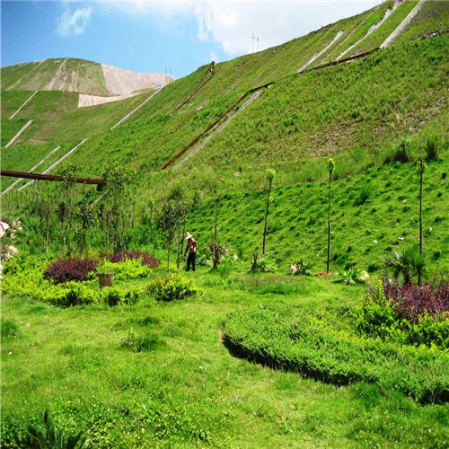 4cenzywihh.jpg 4cenzywihh.jpg